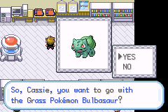 Pokemon - FireRed 251